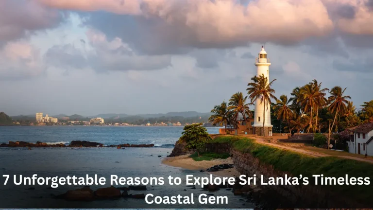 7 Unforgettable Reasons to Explore Sri Lanka’s Timeless Coastal Gem