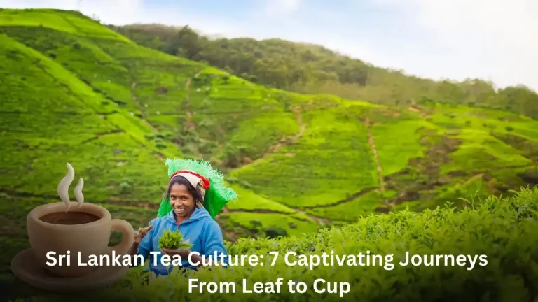 Sri Lankan Tea Culture: 7 Captivating Journeys From Leaf to Cup